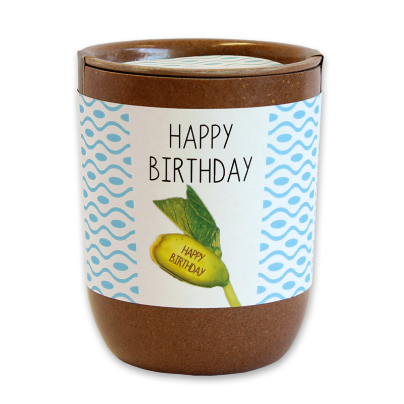 Coffret pour faire pousser un haricot géant sur lequel est inscrit Coffret pour faire pousser un haricot géant sur lequel est inscrit