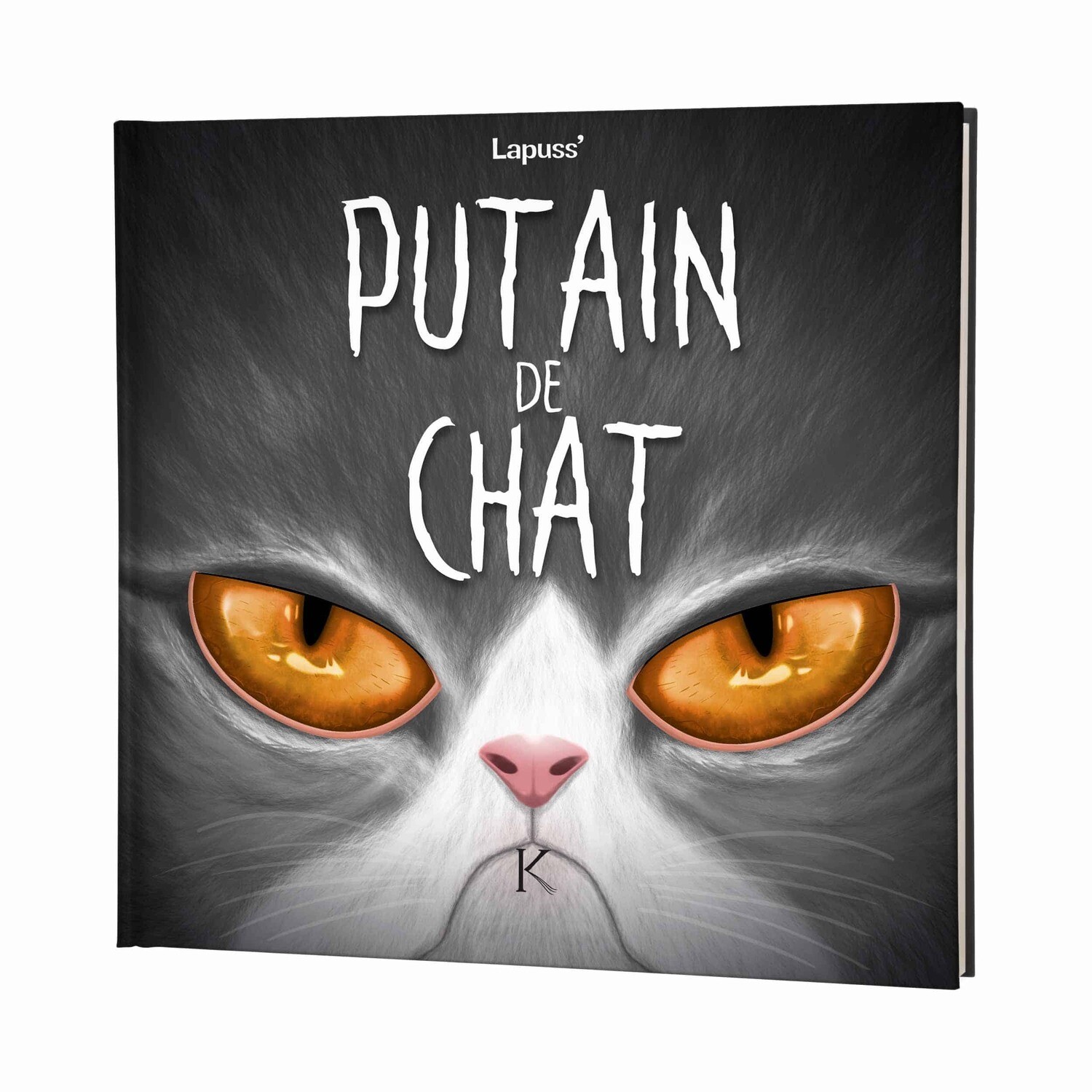 Humour Puatin De Chat T1