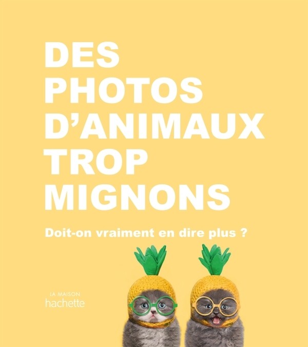Beau livre - Des photos d'animaux trop mignons Beau livre - Des photos d'animaux trop mignons