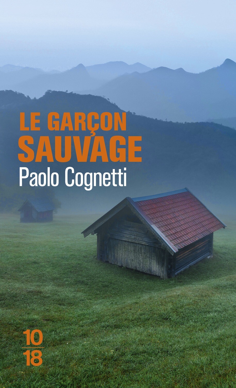 Livre - Roman - Le garçon sauvage Livre - Roman - Le garçon sauvage