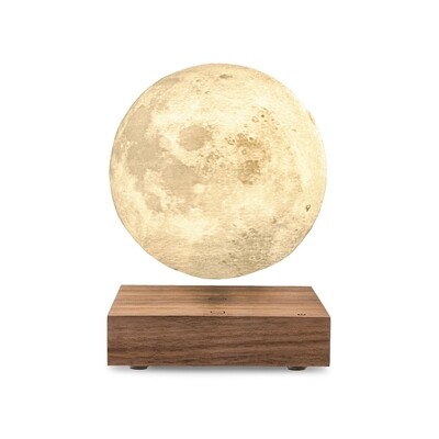 Gingko - Luminaire lune - Noyer bois naturel