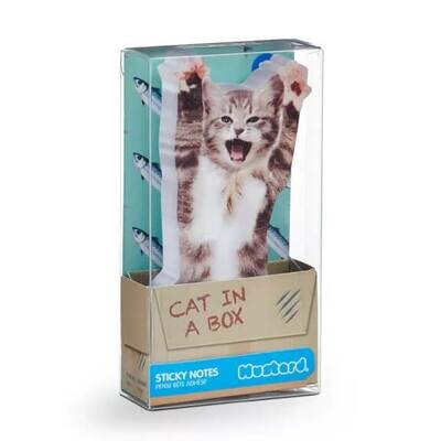 Post-it Cat in a Box