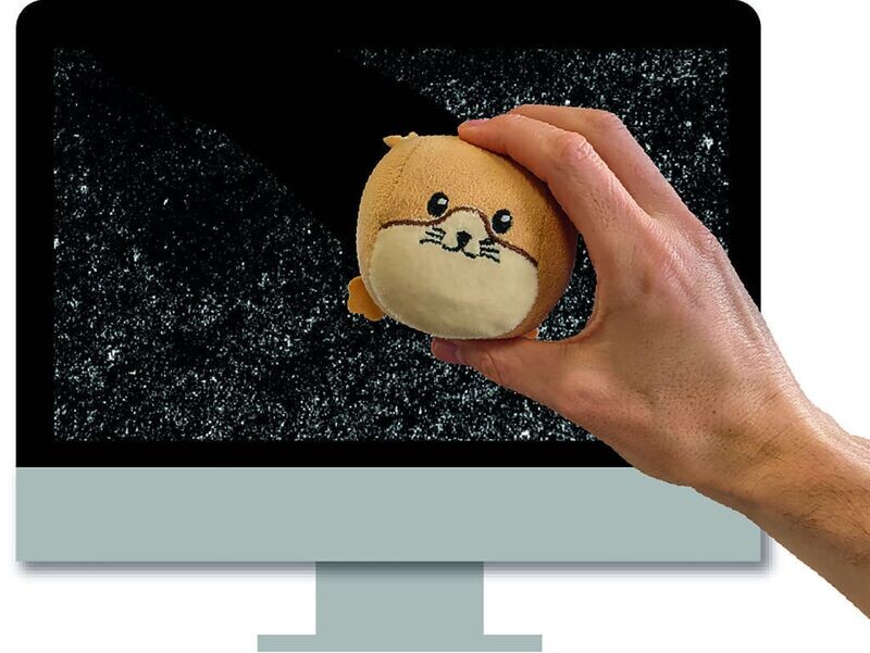 Hamster nettoyeur d'écran et balle anti-stress