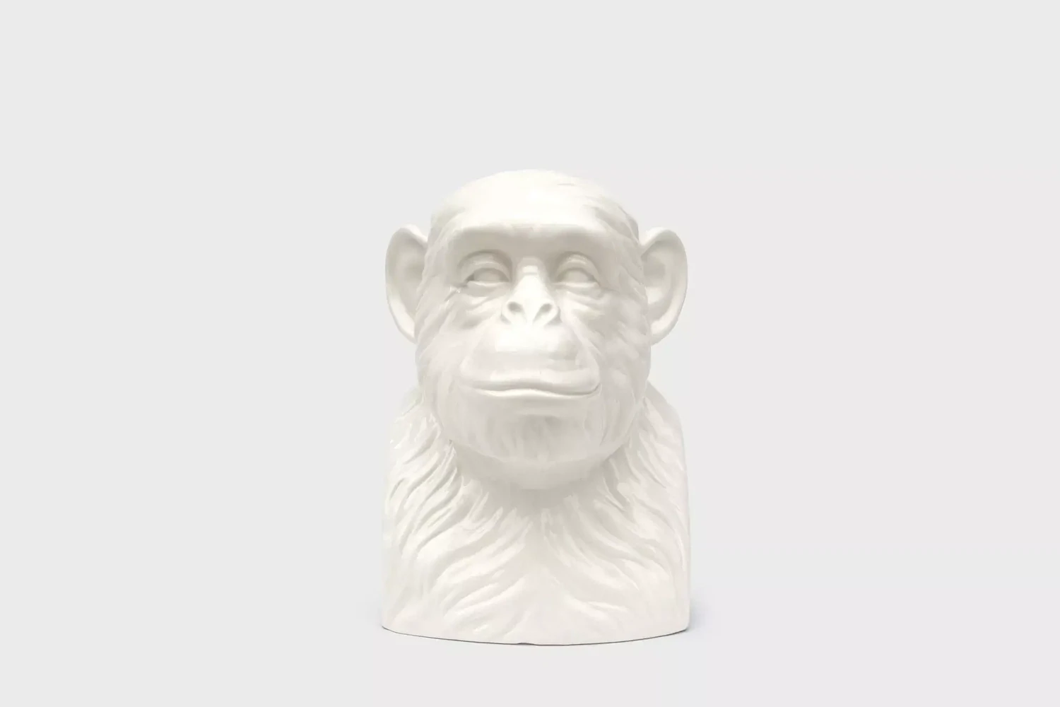 Buste Chimpanzé