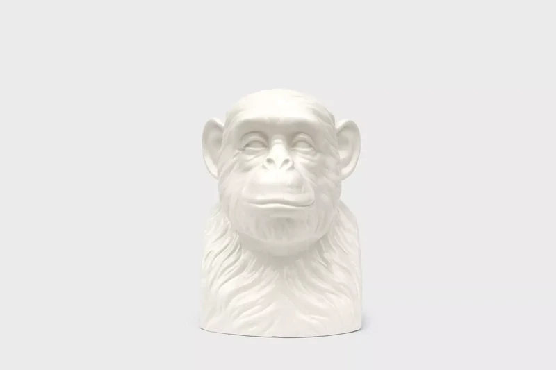 Buste Chimpanzé