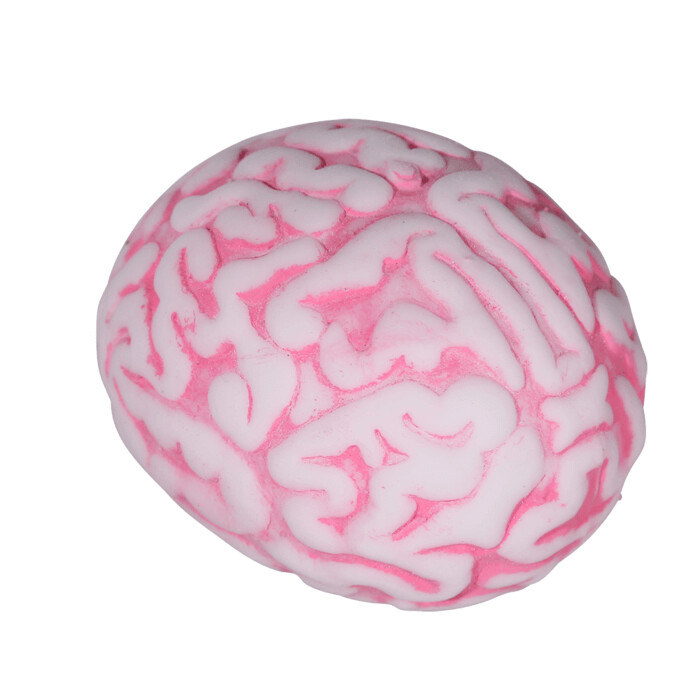Balle squeeze, Cerveau