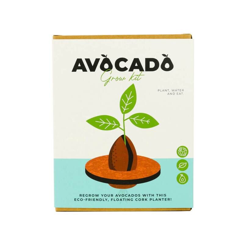 Kit de culture d'avocat