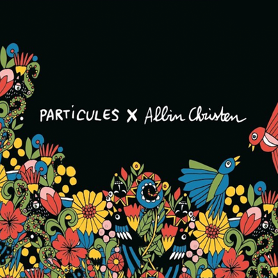 PARTICULES X COLLAB