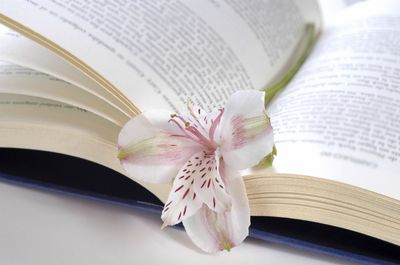 Philosophie und  Spiritualität