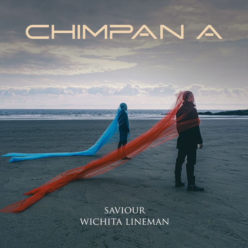 Chimpan A - Saviour/Wichita Lineman EP