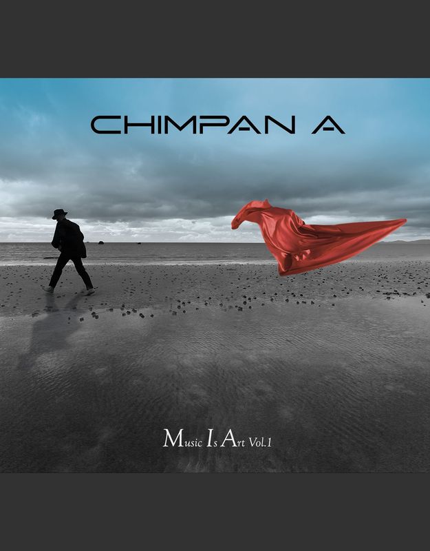 Chimpan A - Music Is Art Vol. 1 (2CD) pre-order