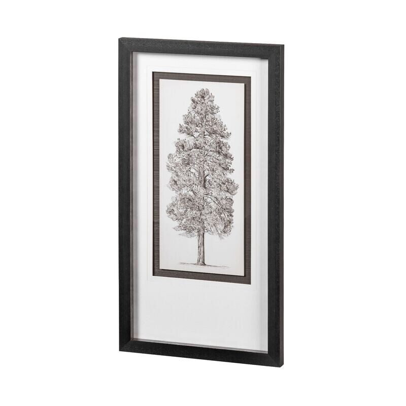 Pacific Northwest Tree Sketch III