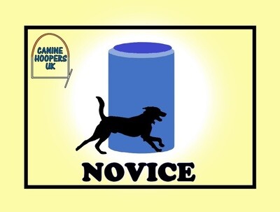 Novice - Won Out Stickers
