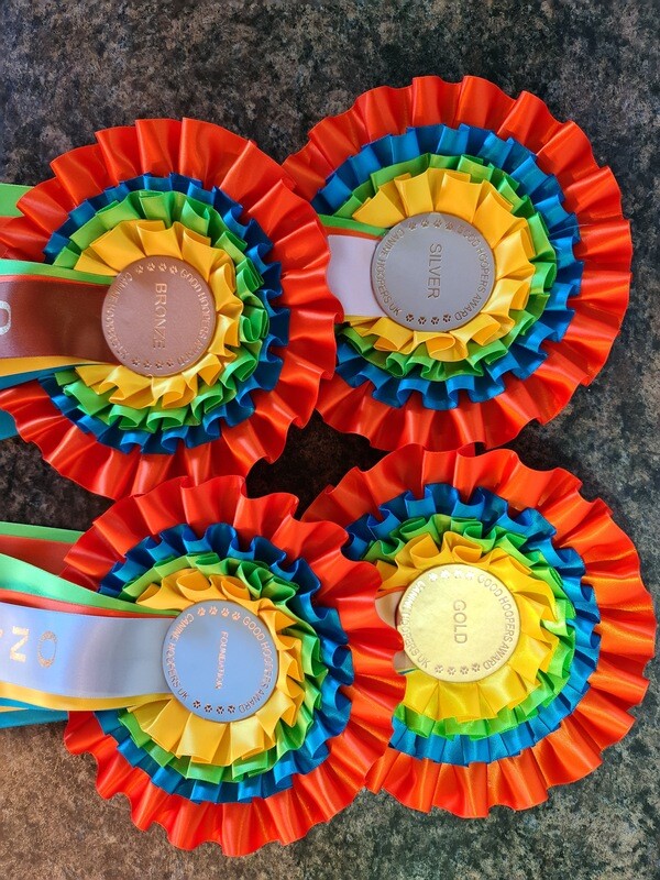 Online Good Hoopers Awards Rosettes