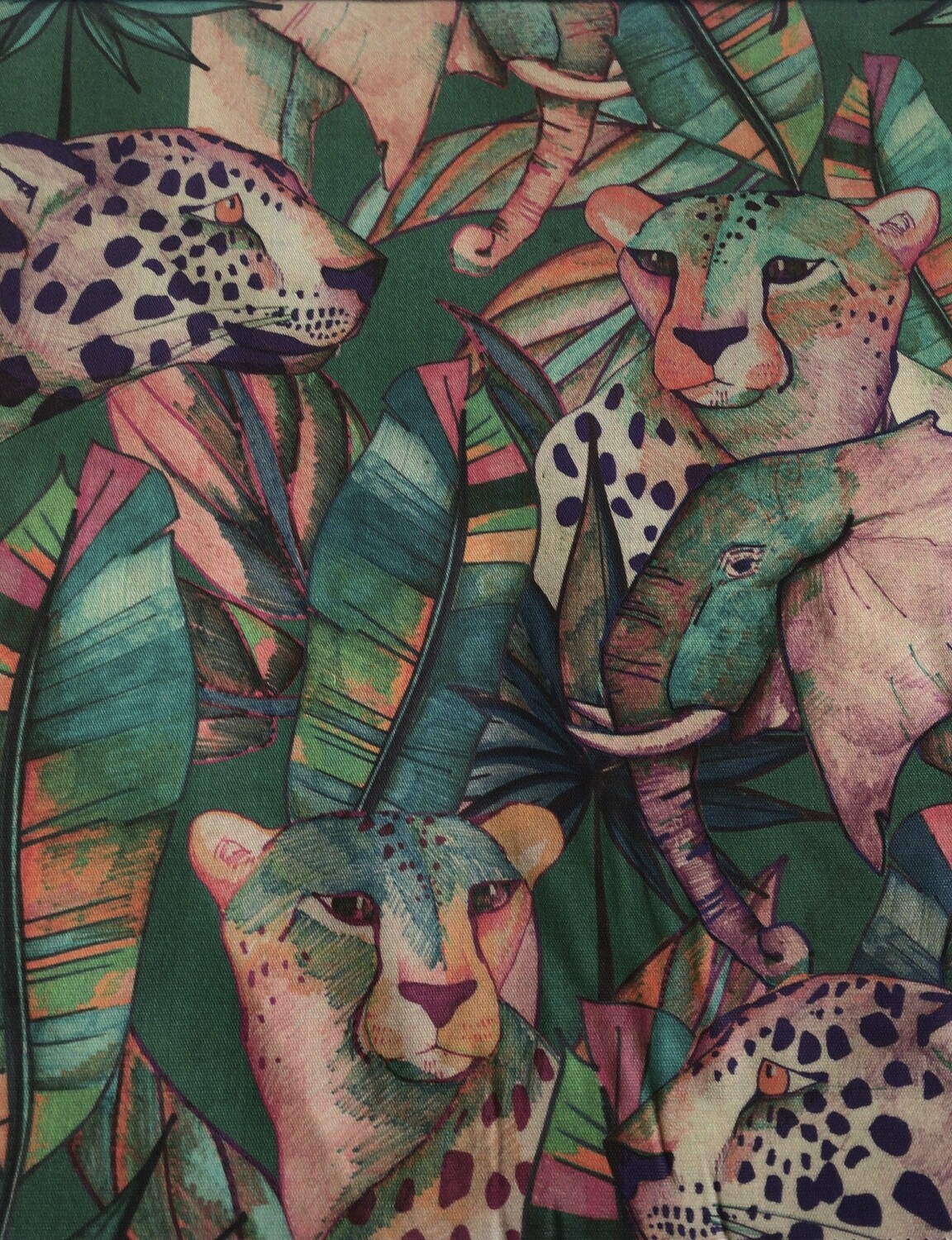 Safari