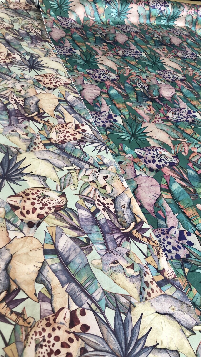 Safari