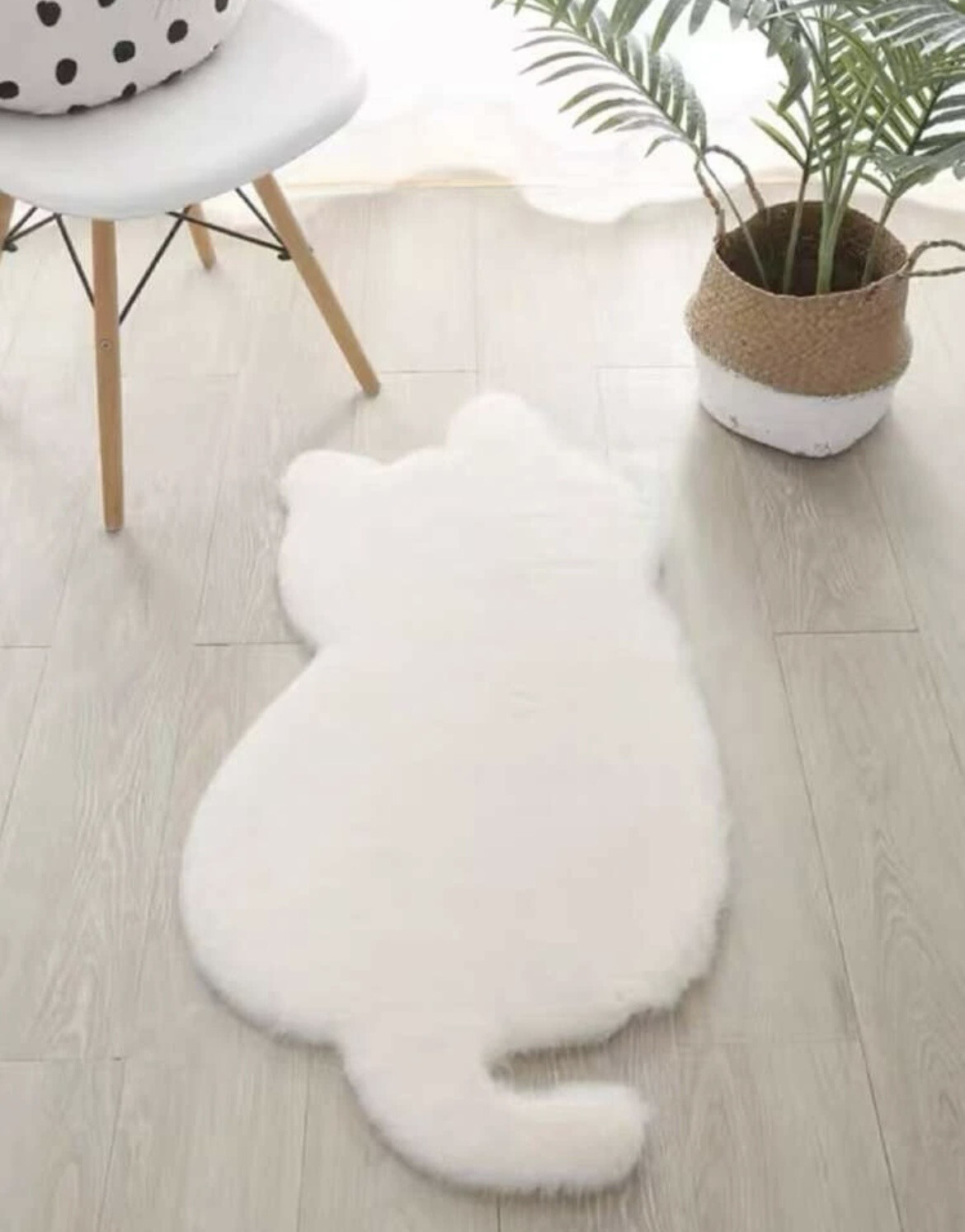 Teddy Tappeto