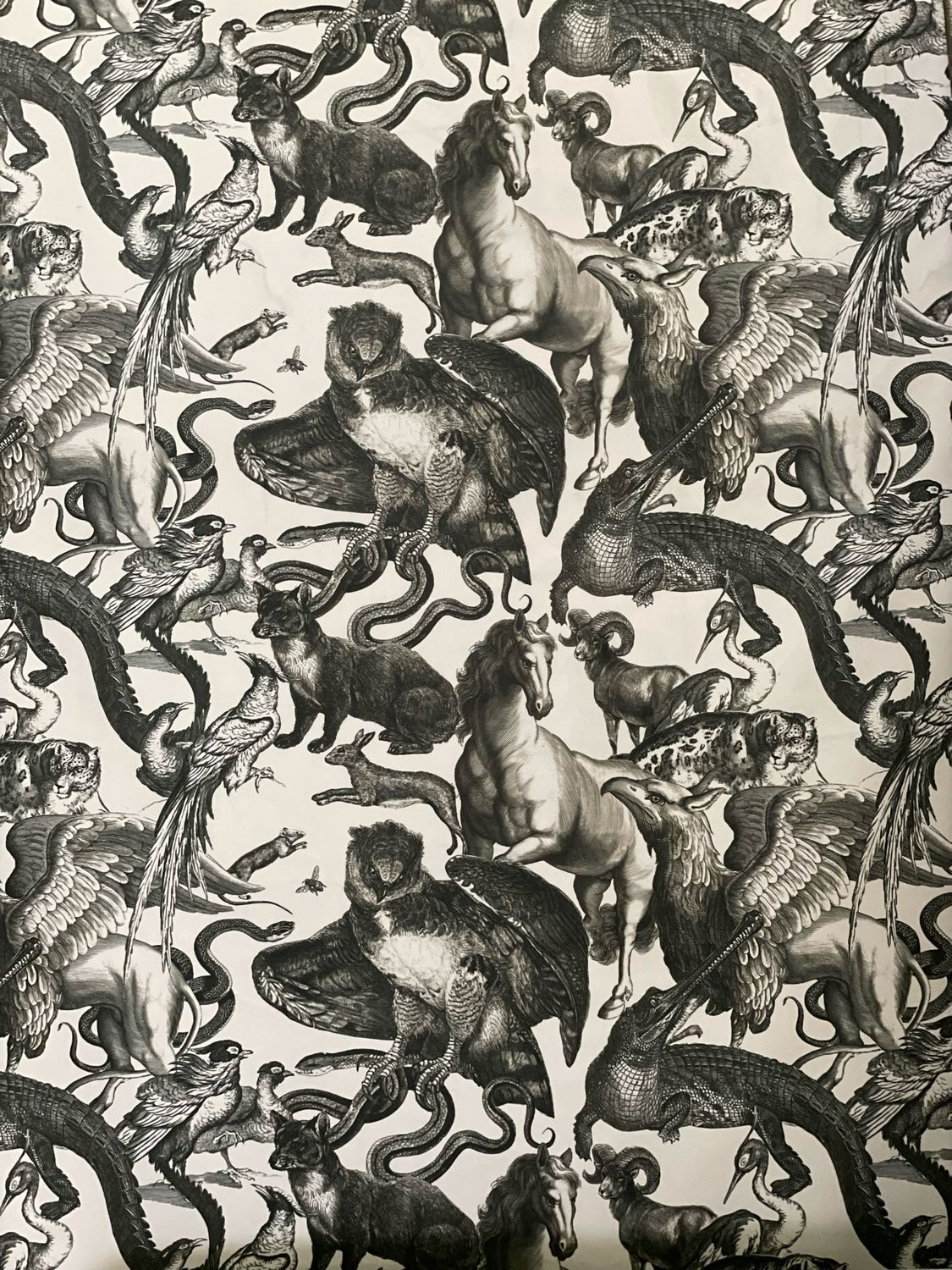 Animali fantastici