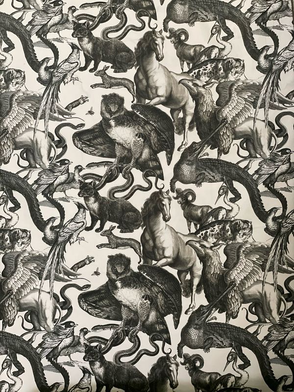 Animali fantastici