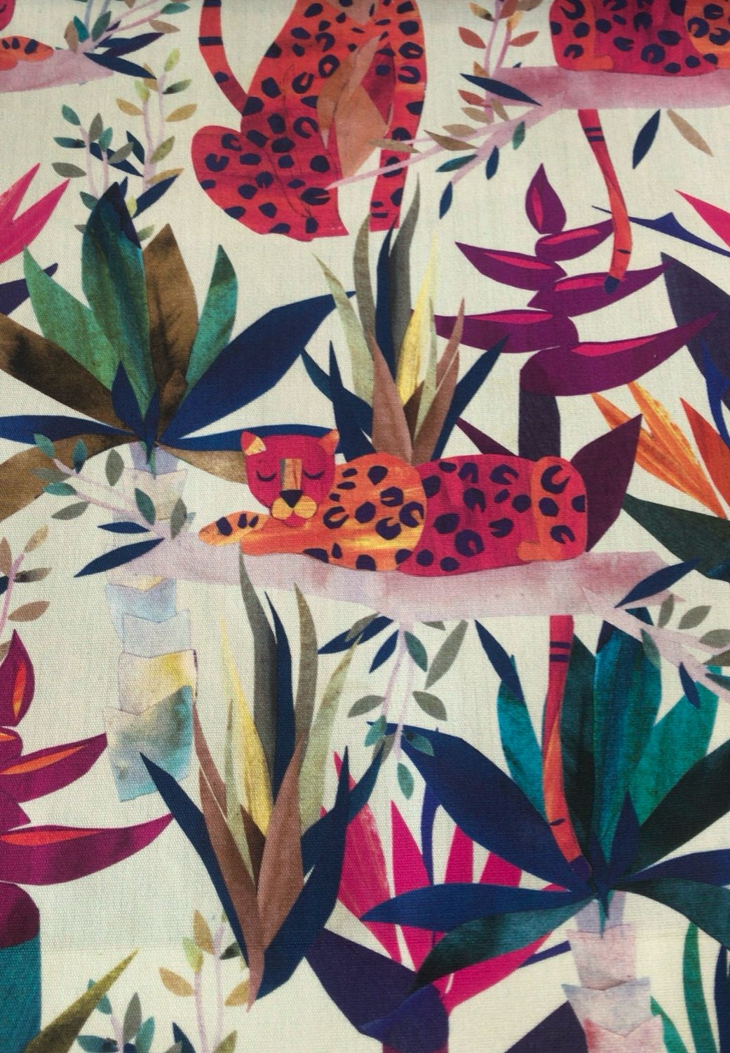 Safari