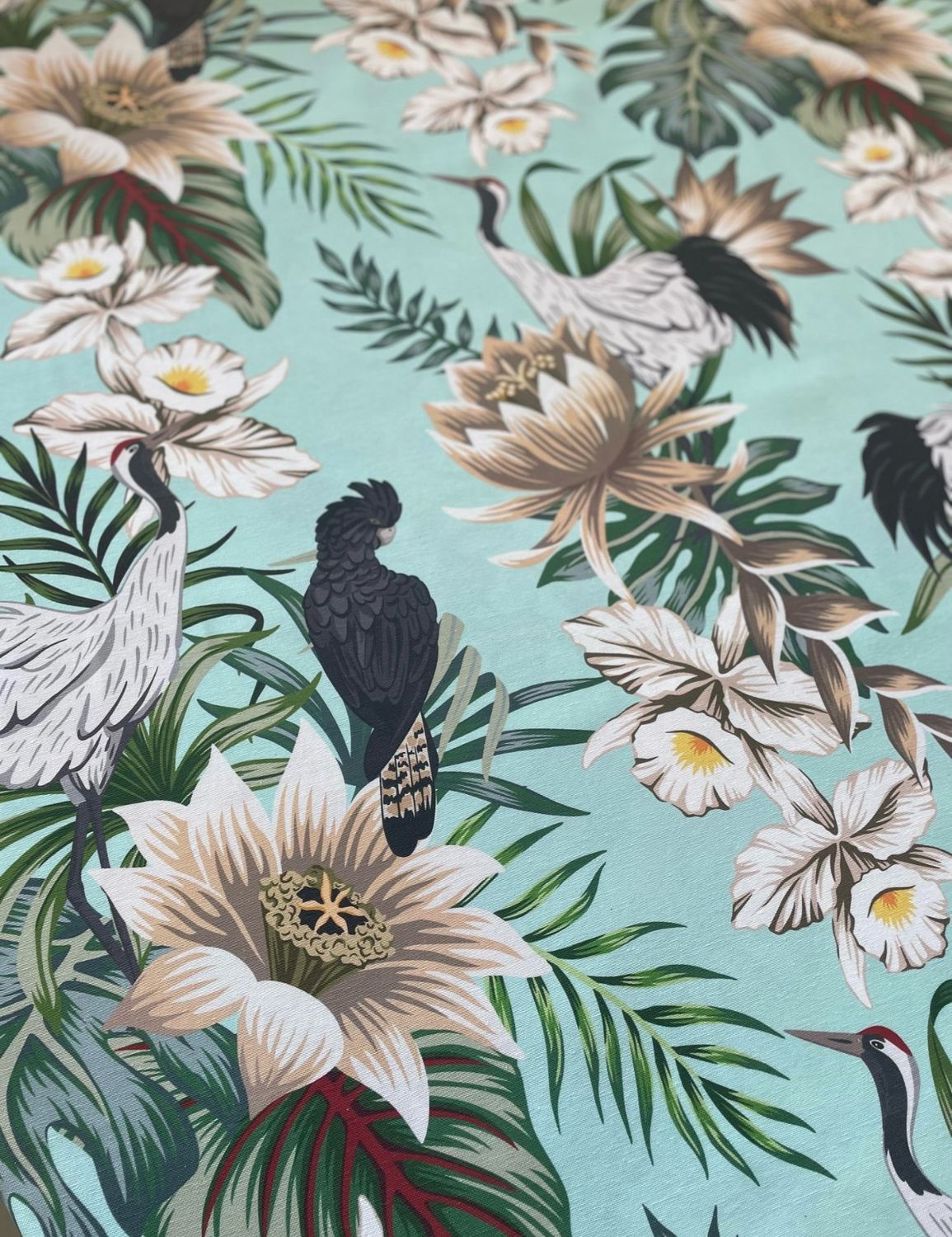 Collezione JUNGLE