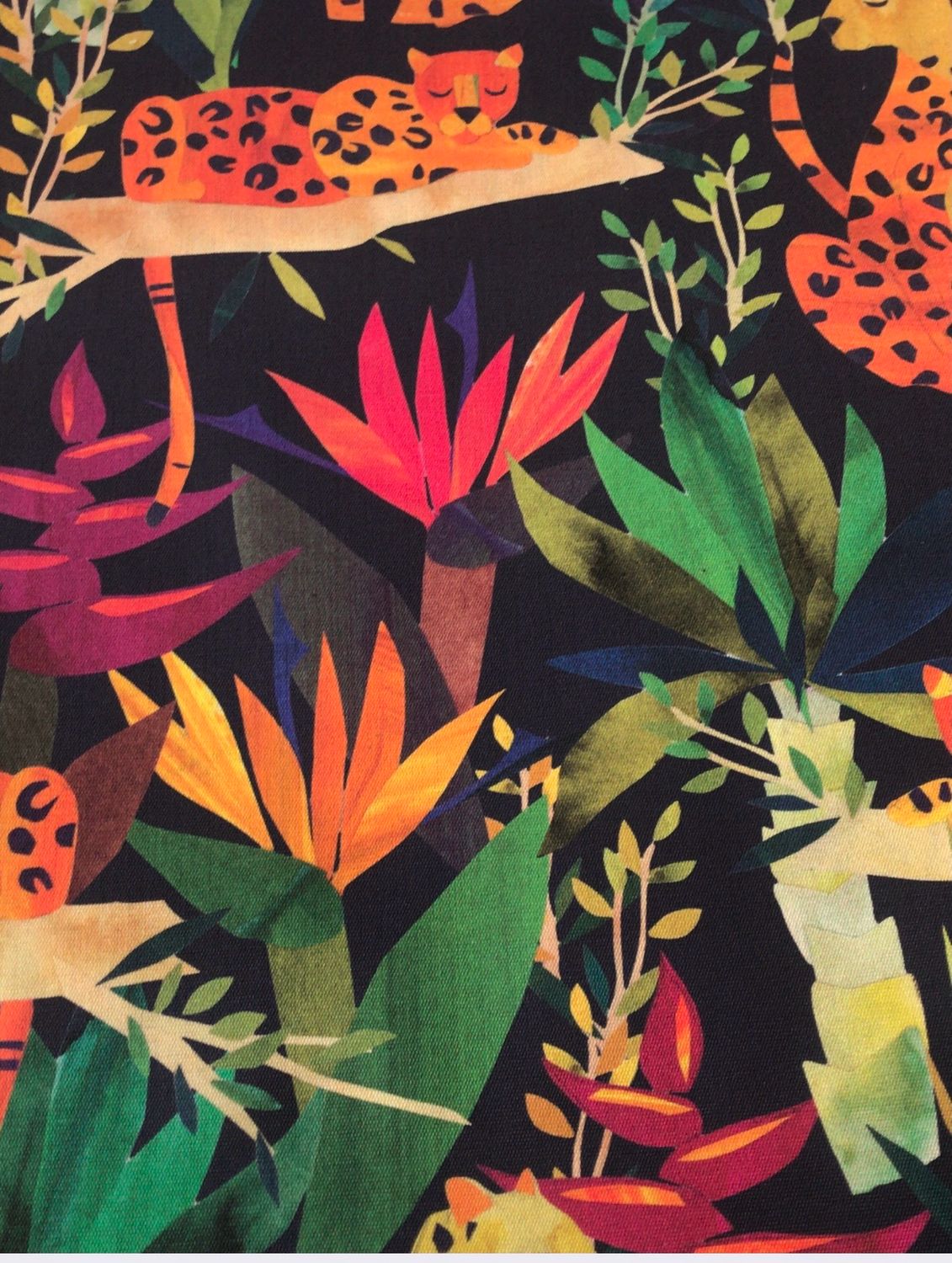Safari