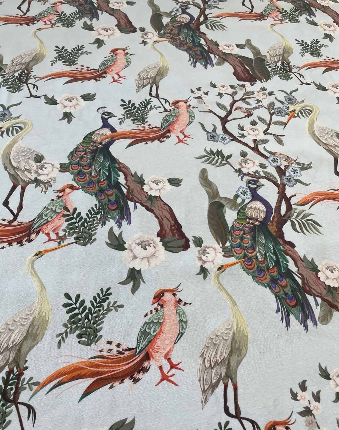 Collezione JUNGLE