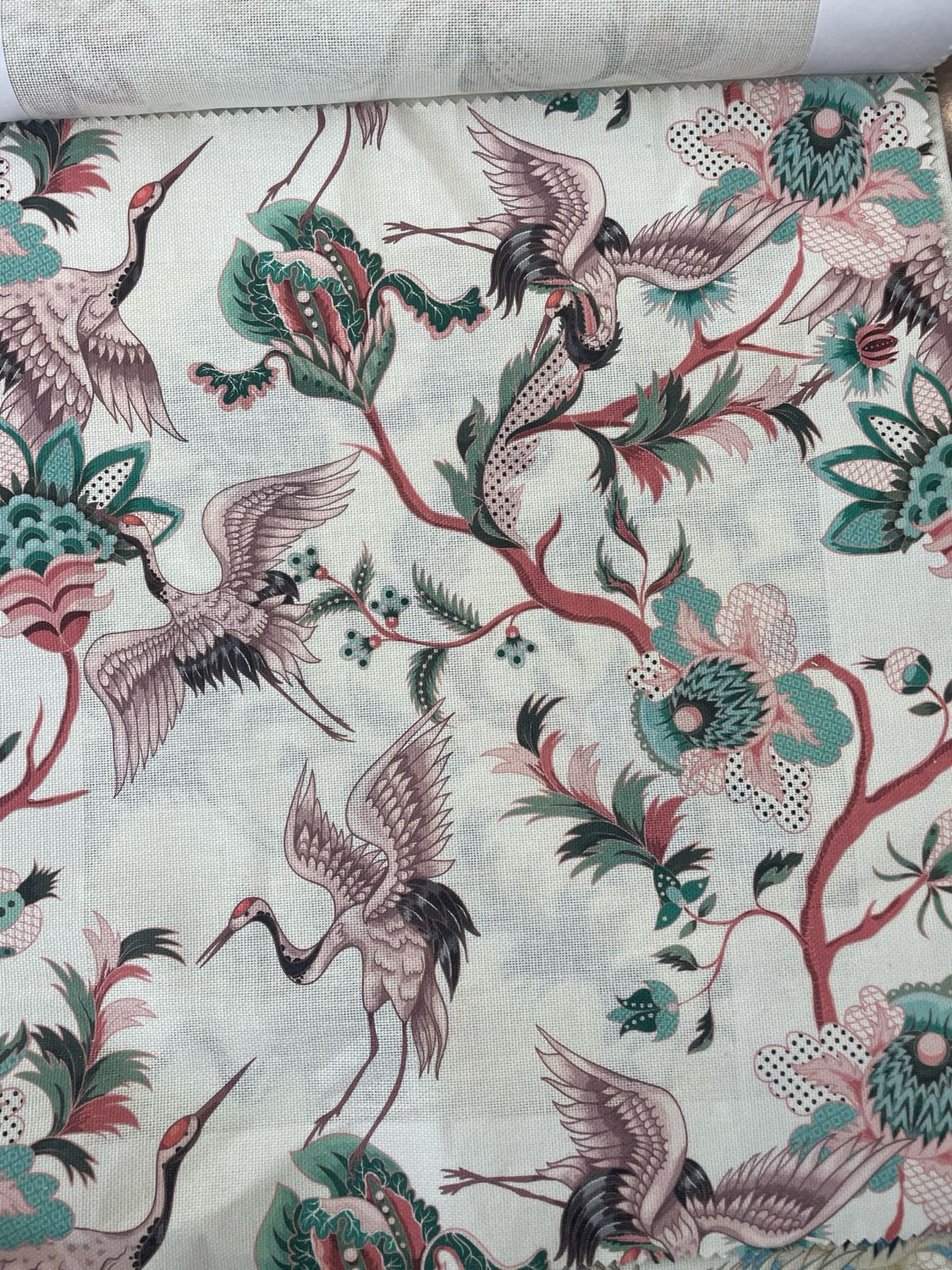 Collezione JUNGLE