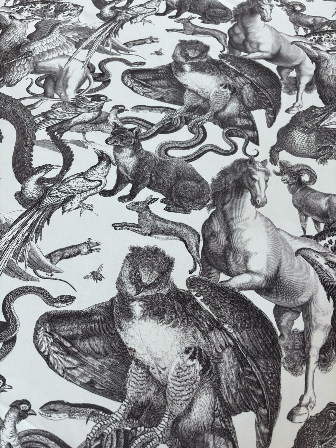Animali fantastici