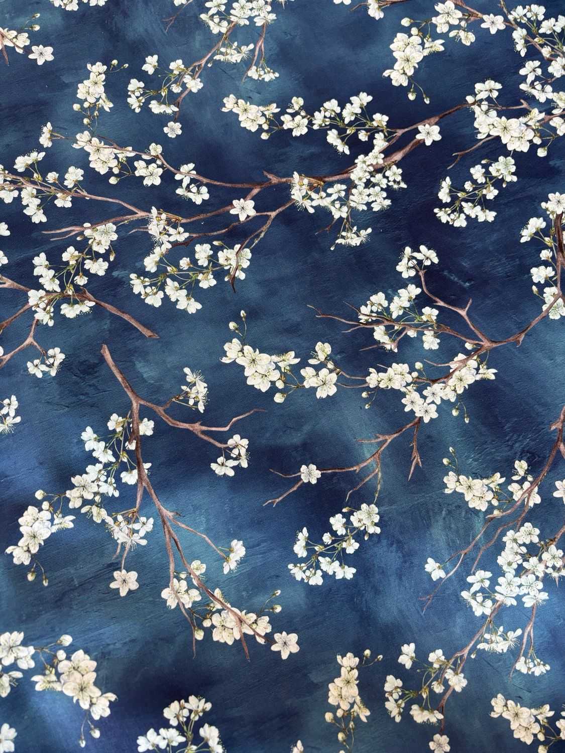 Fiori di Ciliegio