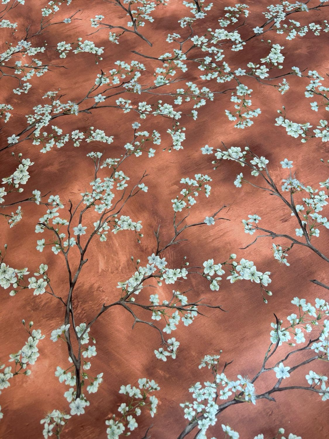 Fiori di Ciliegio