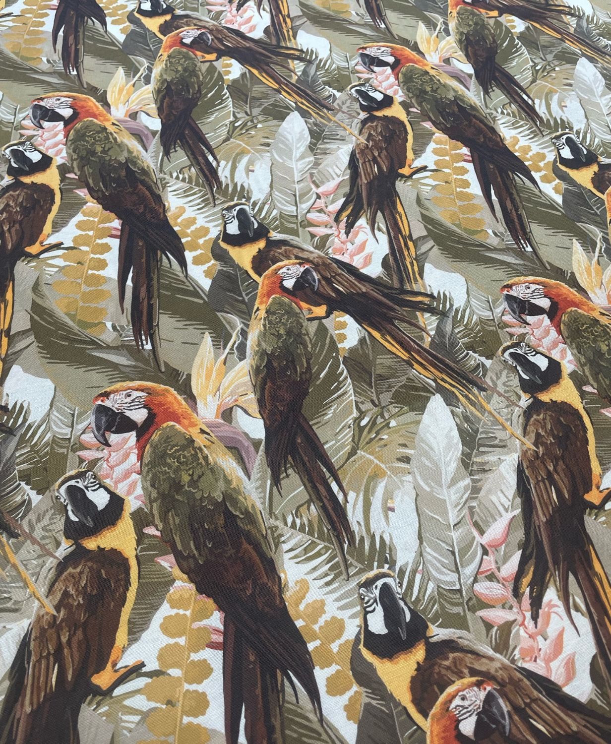 Collezione JUNGLE