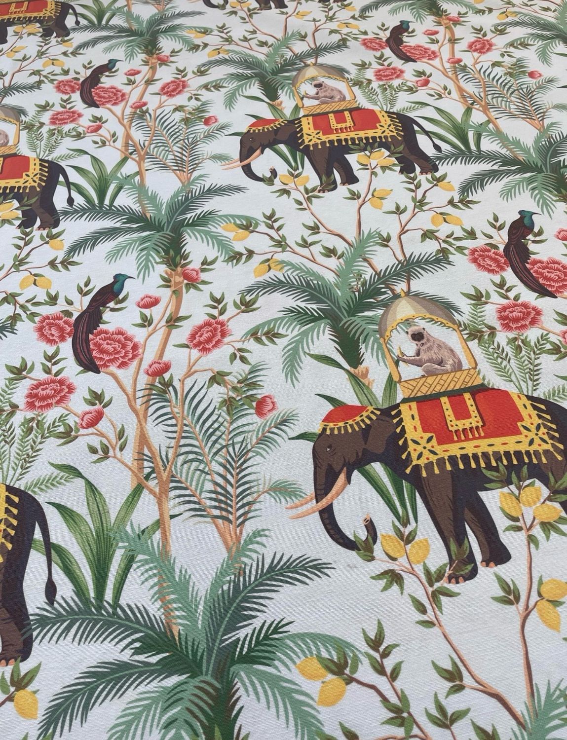 Collezione JUNGLE