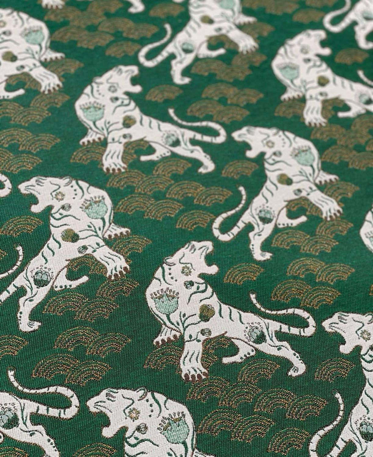 Coll. Giardino Zen Coll. Giardino Zen