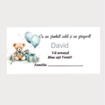 Plic Botez Cartonat – Model 122 Ursuleț cu Baloane Albastre