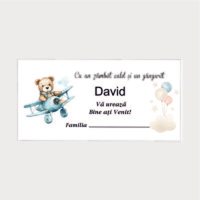 Plic Botez Cartonat – Model 121 Ursuleț Aviator Albastru