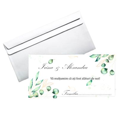 Colectia Olive
