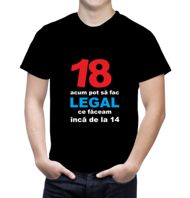 Tricou personalizat 18 ani – bumbac 100%, cu mesaj haios și nonconformist