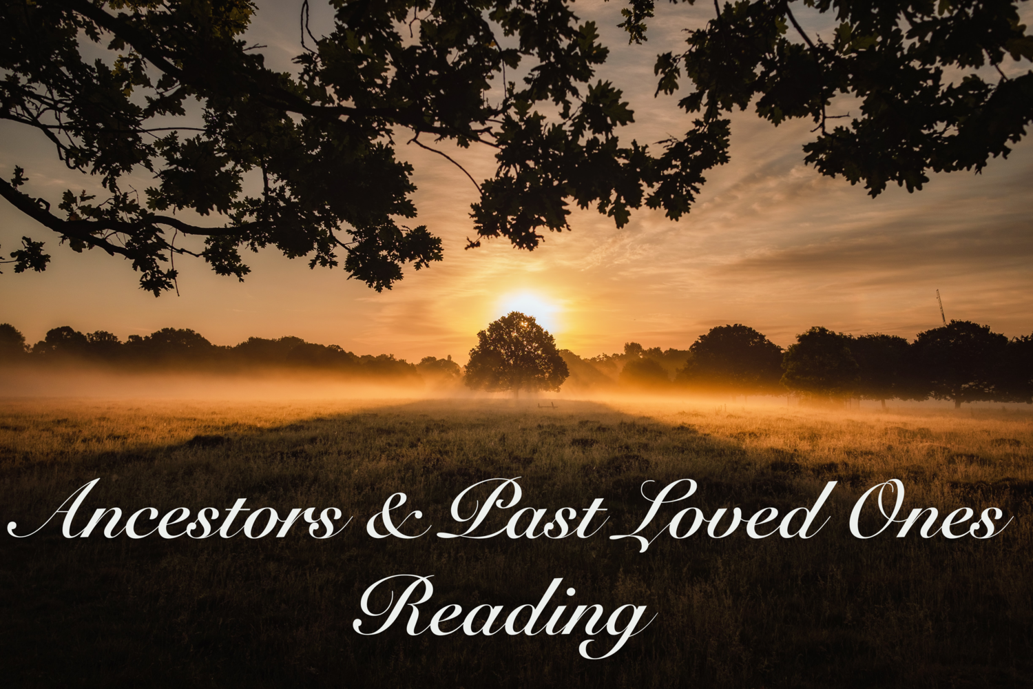 Ancestors &amp; Past Loved Ones Reading