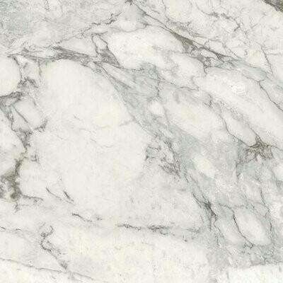 Marbling Calacatta Gris Polished