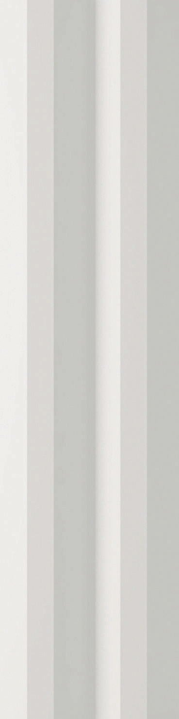 3D Linear White Matt Finish 300x75mm