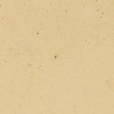 Natural Blanco Smooth Terracotta