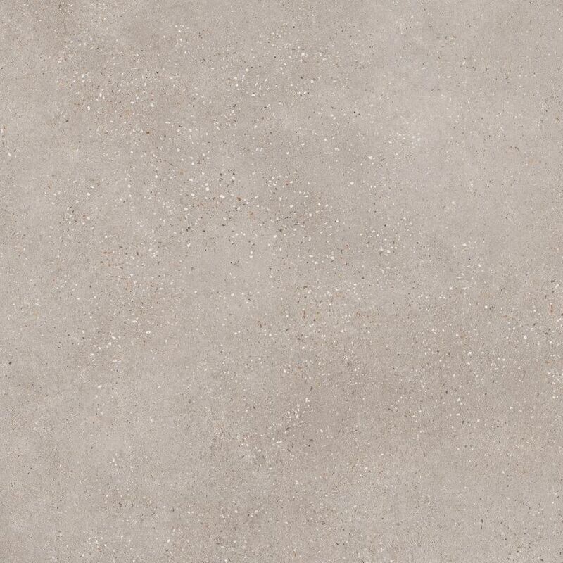 Trammel Taupe Matt R10 PTV36+