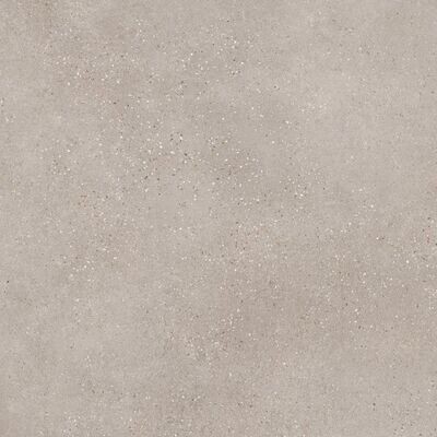 Trammel Taupe Matt R10 PTV36+