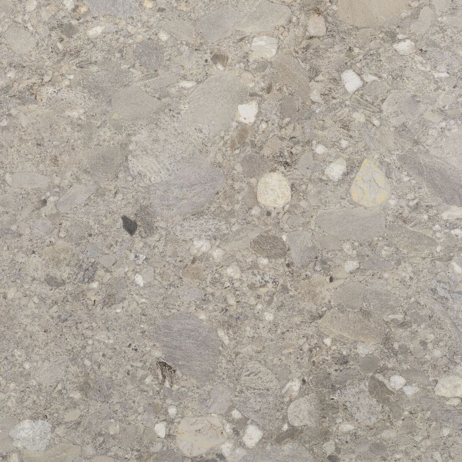 Bergamo Grigio Relieve R11