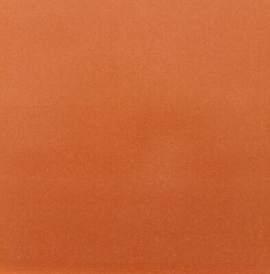 Salmon 225x225 Matt R10 PTV36+