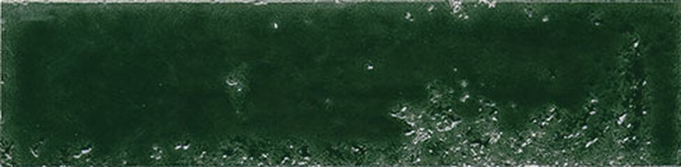 Bari Basil Green