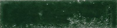 Bari Basil Green