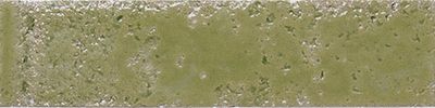 Bari Moss Green