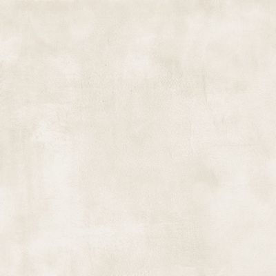 Powder Beige Matt R10 PTV36+